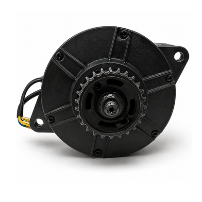 Revolt RV400 / RV300 BLDC Traction Motor Assembly ( Refurbished )